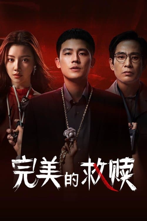 完美的救赎のポスター