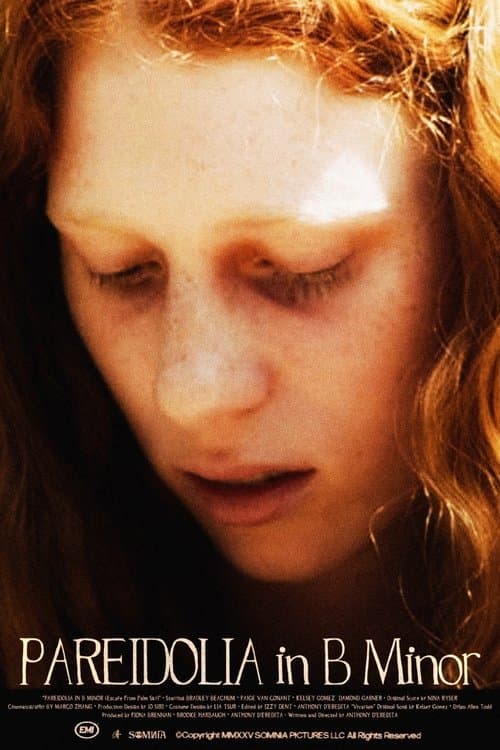 Pareidolia in B Minorのポスター