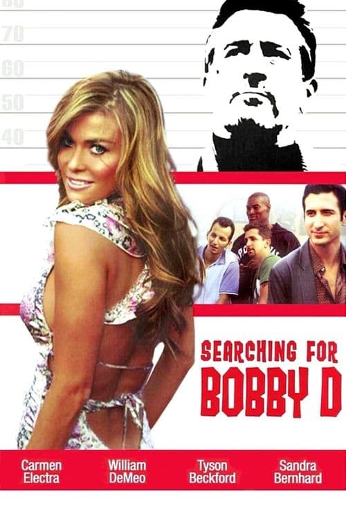 Searching for Bobby Dのポスター