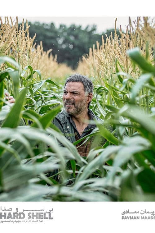 بی سر و صداのポスター