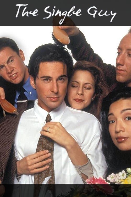 The Single Guyのポスター