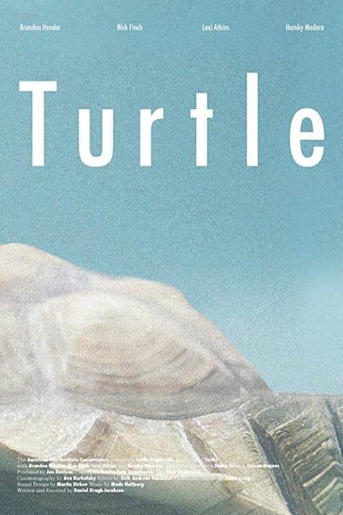 Turtleのポスター