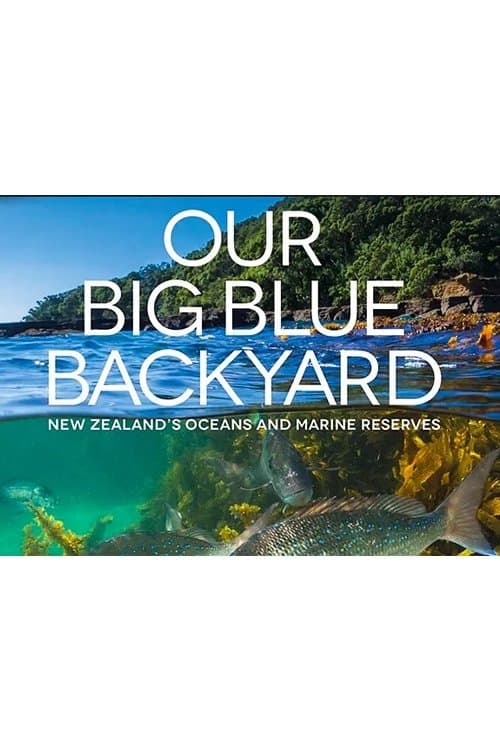 Our Big Blue Backyardのポスター