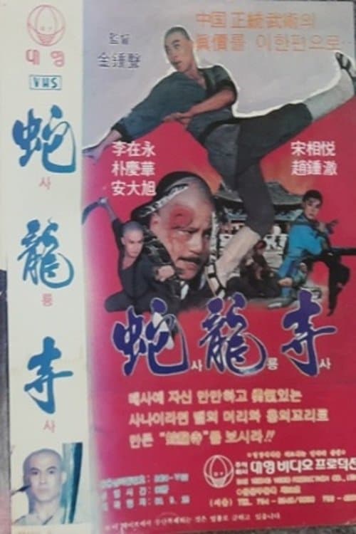 사룡사のポスター