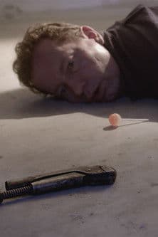 Berör Amadeus Flamanderのポスター