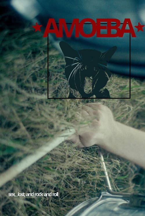 Amoebaのポスター