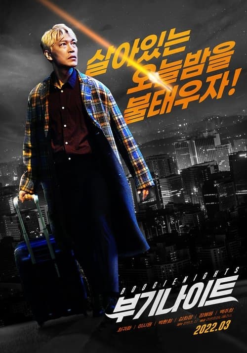 부기나이트のポスター