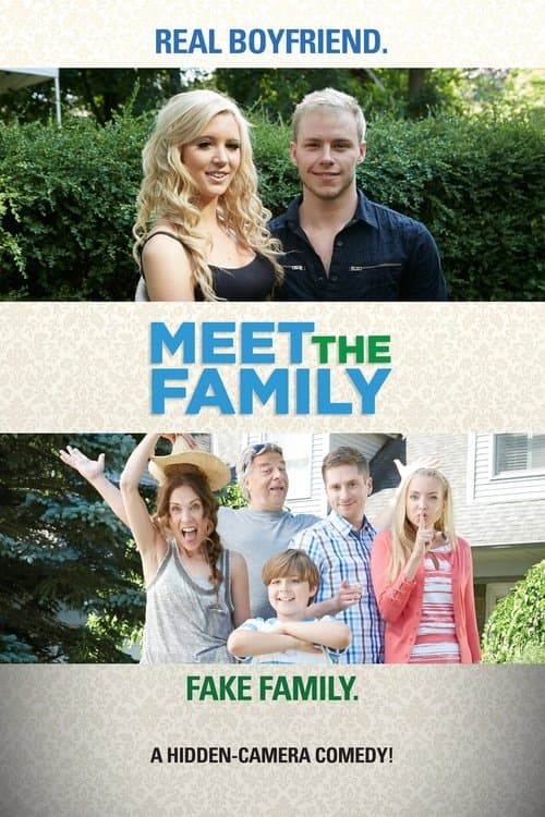 Meet the Familyのポスター