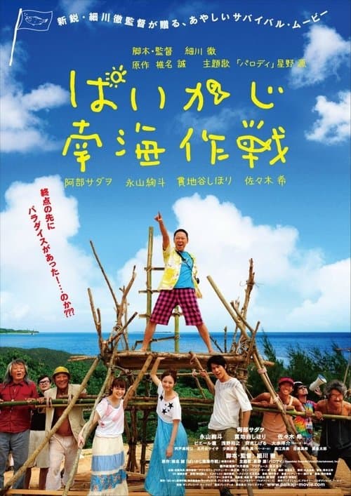 ぱいかじ南海作戦のポスター