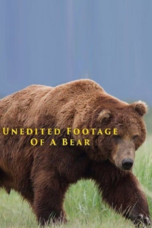 Unedited Footage of a Bearのポスター
