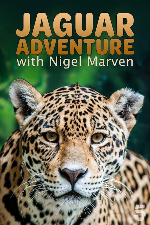 Jaguar Adventure With Nigel Marvenのポスター