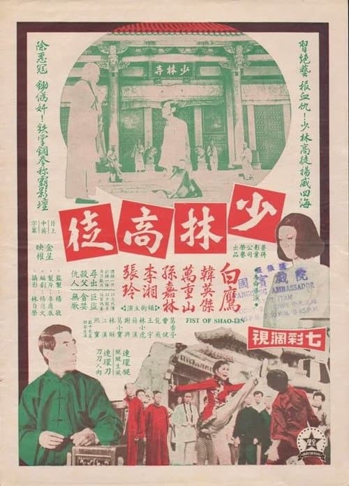 少林高徒のポスター