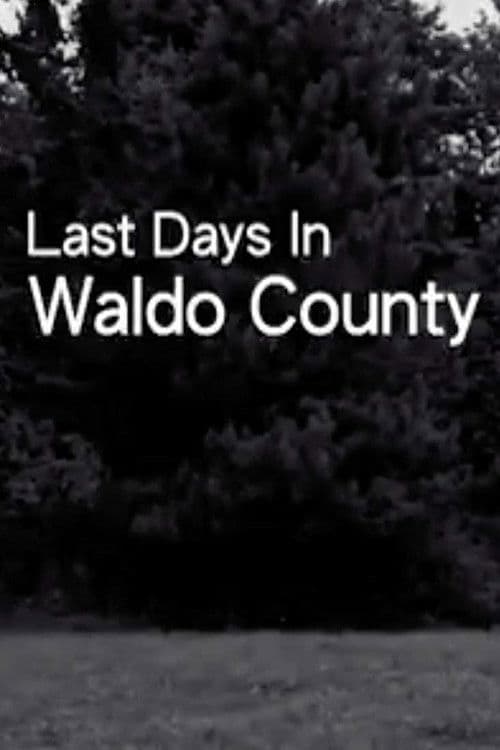 Last Days In Waldo Countyのポスター