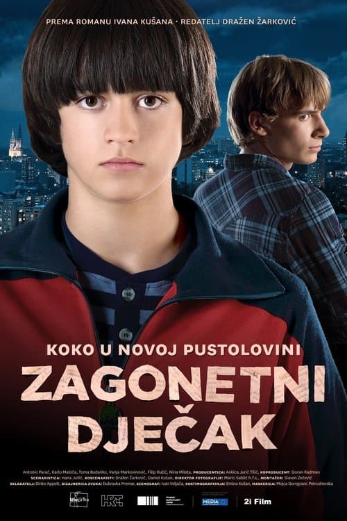 Zagonetni dječakのポスター