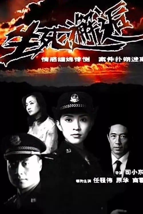 生死邂逅のポスター
