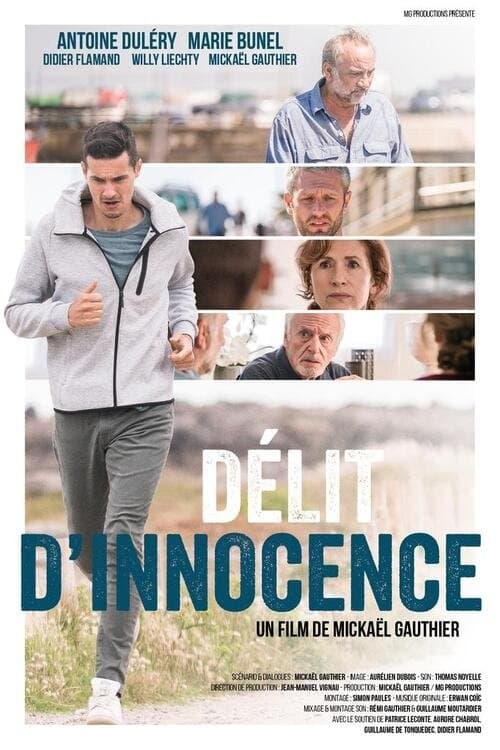 Délit d'innocenceのポスター
