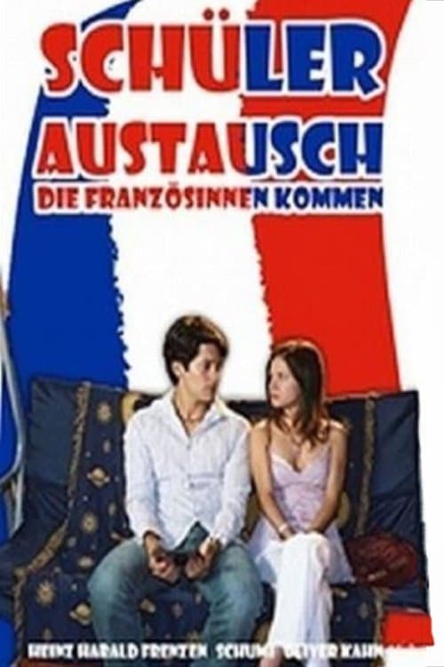 Schüleraustauschのポスター