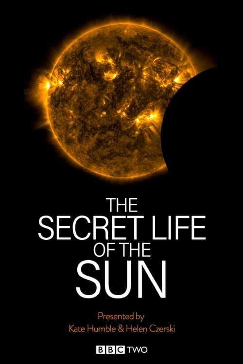 The Secret Life of the Sunのポスター
