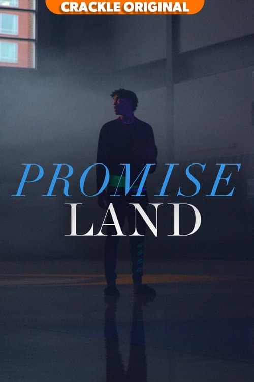 PROMISELANDのポスター