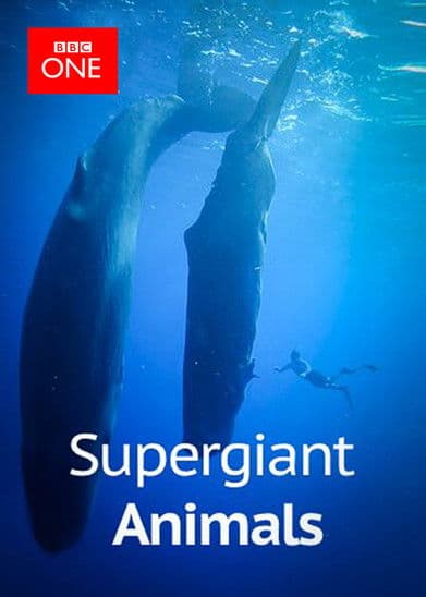 Supergiant Animalsのポスター