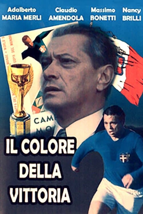 Il colore della vittoriaのポスター