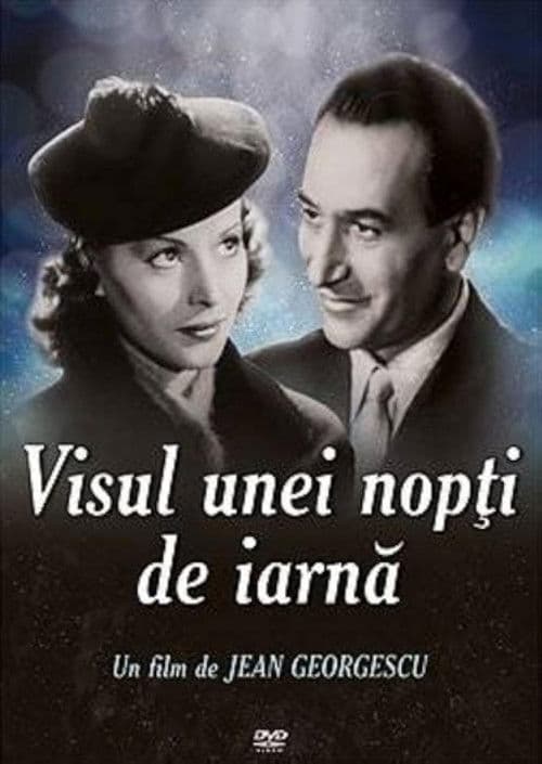 Visul unei nopți de iarnăのポスター