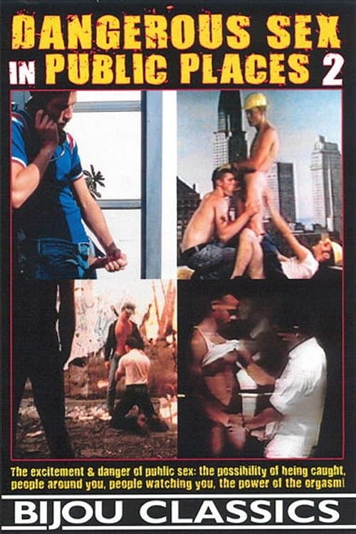 Dangerous Sex in Public Places 2のポスター