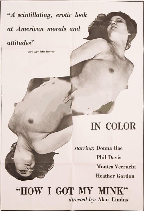 How I Got My Minkのポスター