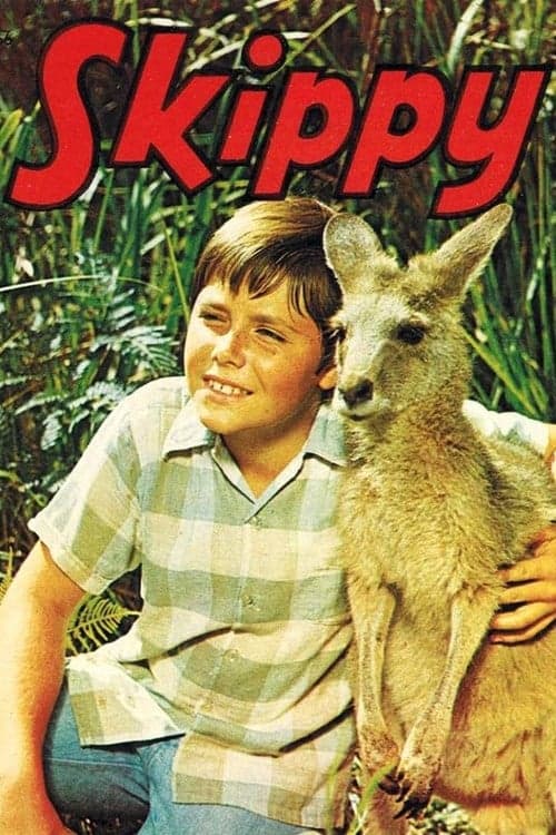 Skippy the Bush Kangarooのポスター