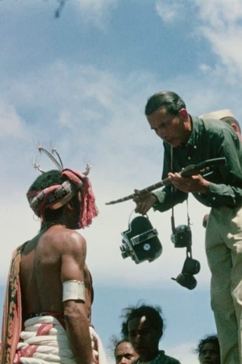 O Voo do Crocodilo - O Timor de Ruy Cinattiのポスター