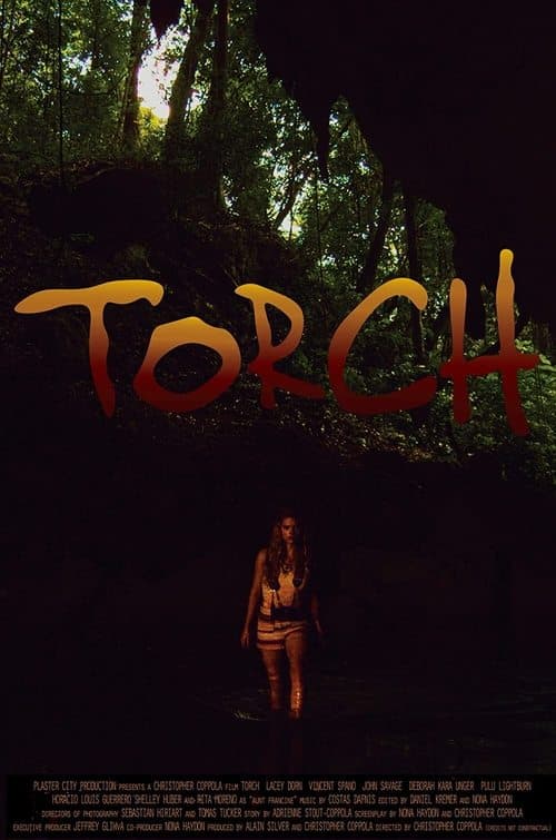 Torchのポスター