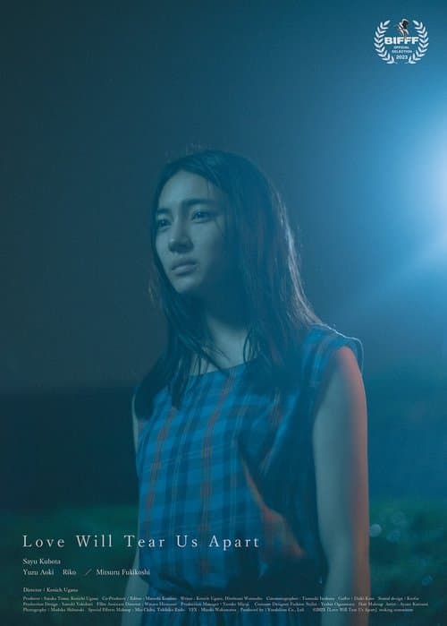 Love Will Tear Us Apartのポスター