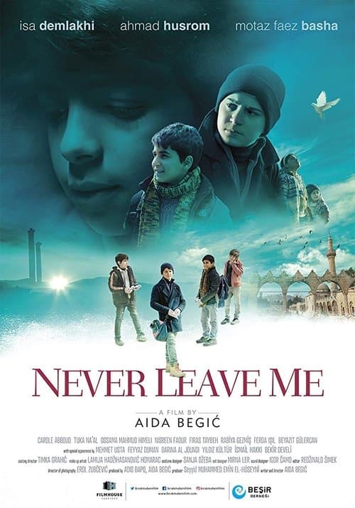 Never Leave Meのポスター