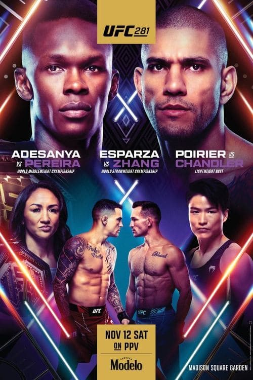 UFC 281: Adesanya vs. Pereiraのポスター