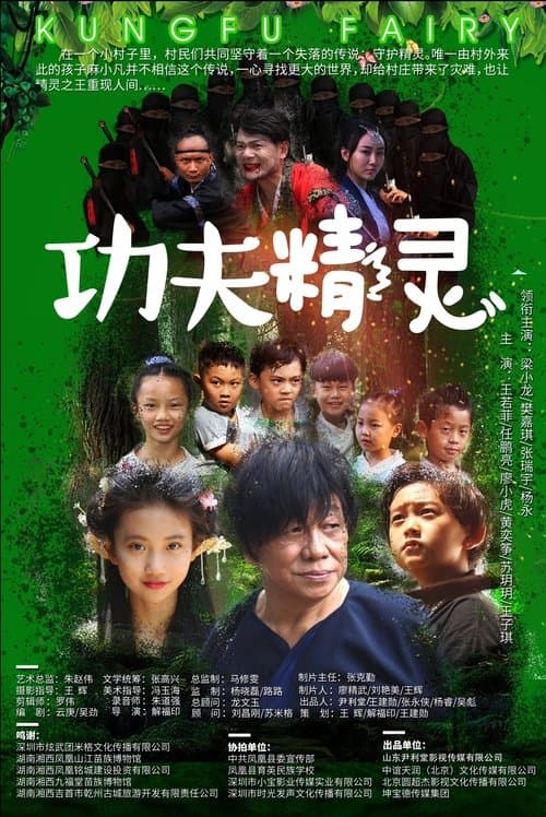 功夫精灵のポスター