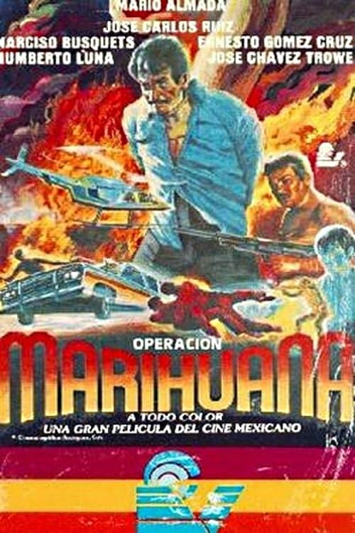 Operacion marihuanaのポスター