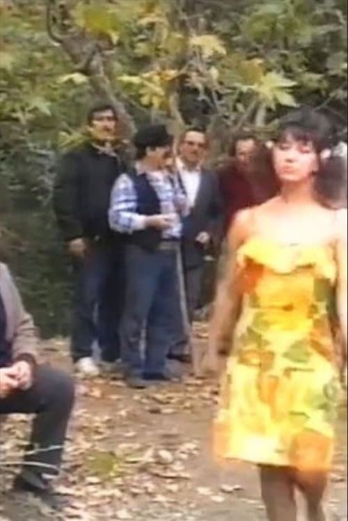 Γαμπρός με το ζόριのポスター