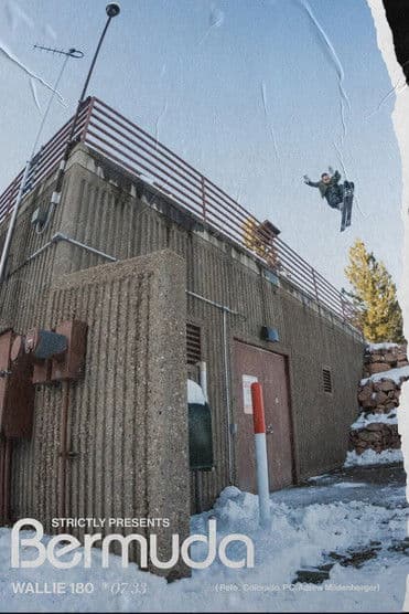 Bermudaのポスター
