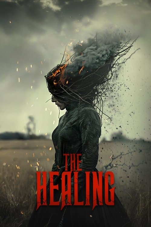 The Healingのポスター