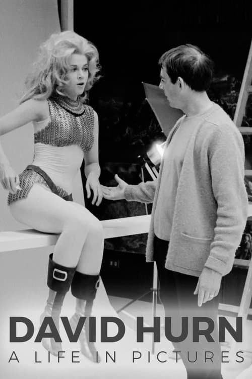 David Hurn: A Life in Picturesのポスター