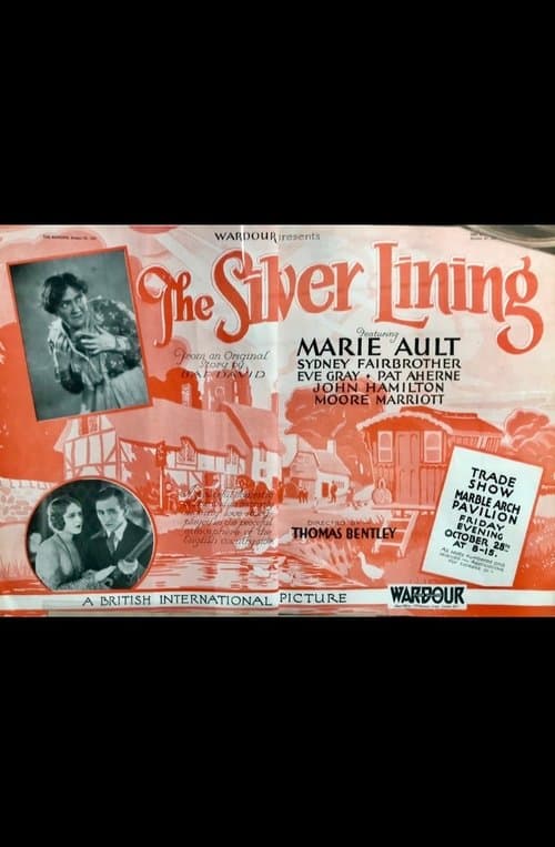 The Silver Liningのポスター