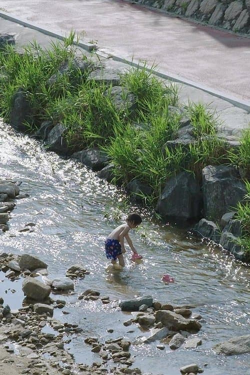 물고기 소년のポスター