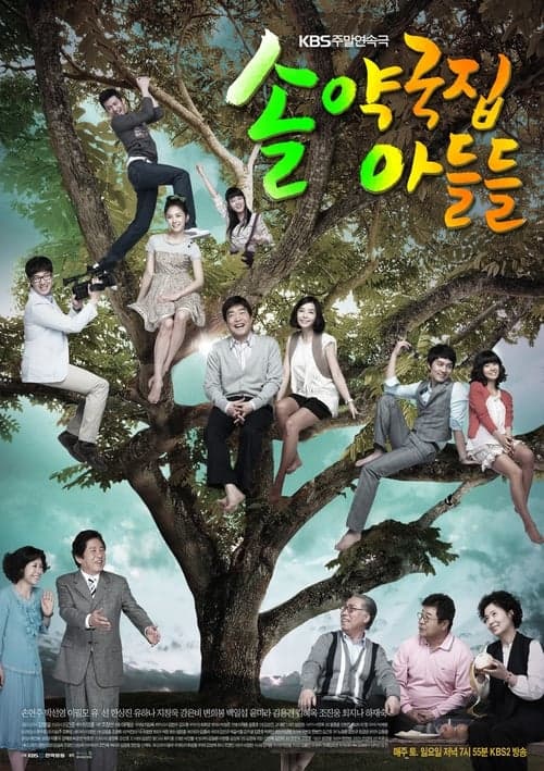솔약국집 아들들のポスター
