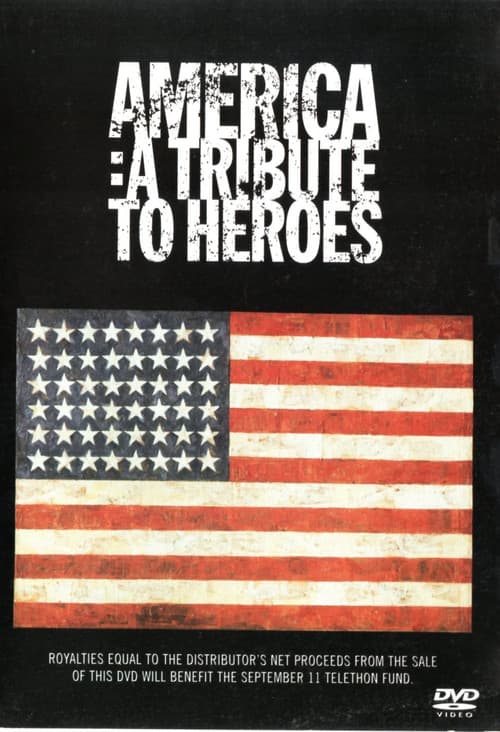 America | A Tribute to Heroesのポスター