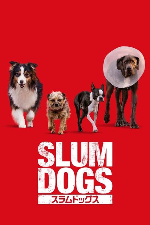 スラムドッグスのポスター