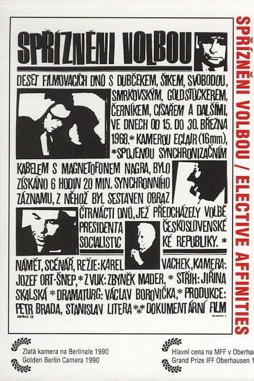 Spřízněni volbouのポスター