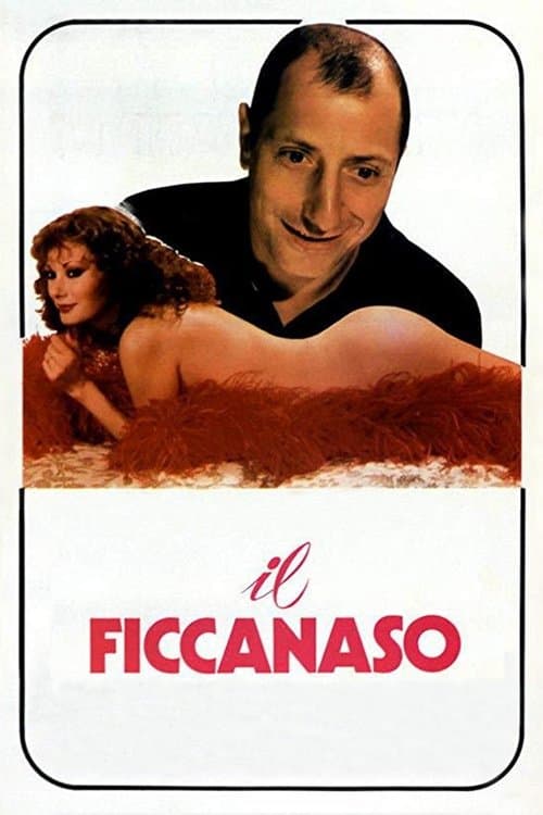 Il ficcanasoのポスター