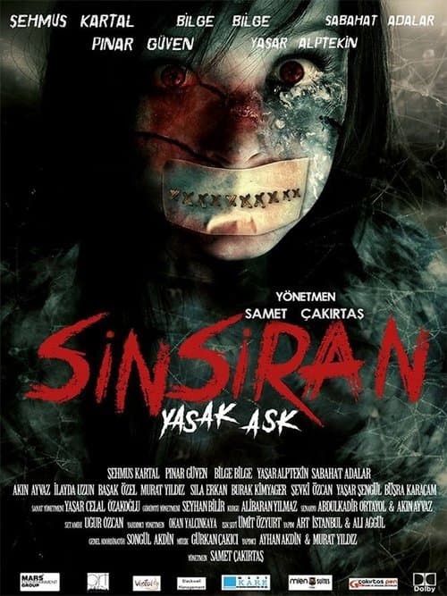 Sinsiran: Yasak Aşkのポスター