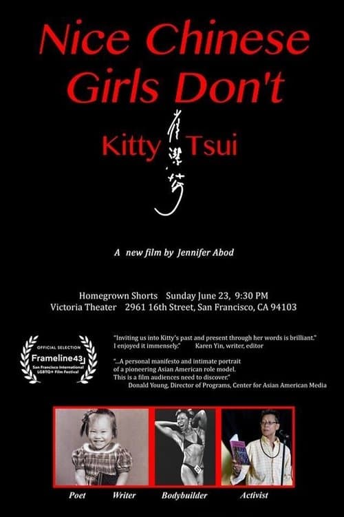 Nice Chinese Girls Don't!のポスター