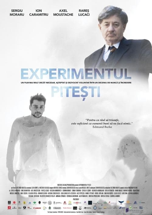 Experimentul Piteștiのポスター